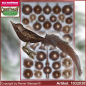 Preview: Christbaumschmuck Sortiment Das Geheimnis des Waldes - Glasvogel 12cm 4St./Ktn.
